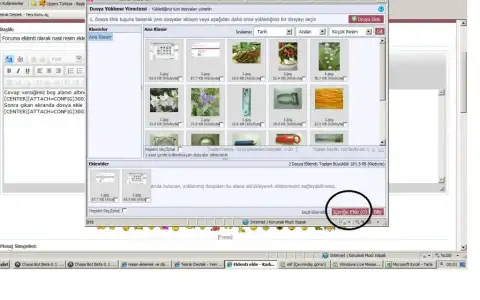 $1.webp