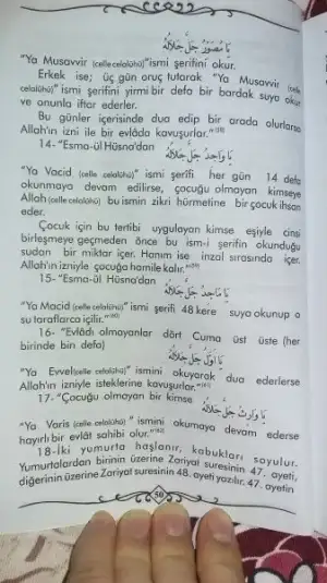 1483384877586-62125087.webp