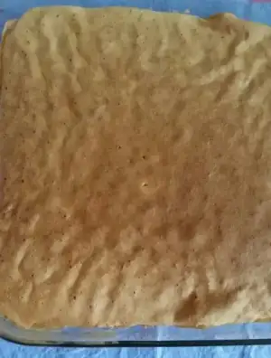 IMG-20170110-WA0033.webp