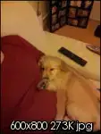 $20111205213351.th.webp