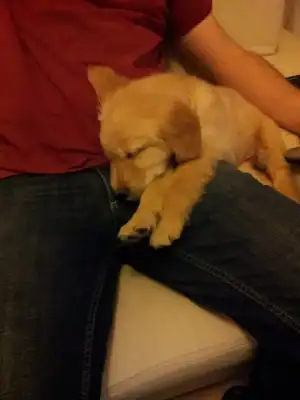 $20111205214738.webp
