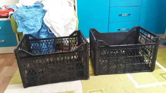 2017-01-31 17.31.48.webp