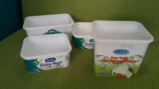 2017-01-31 17.31.28.webp