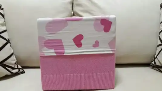 2017-01-31 17.38.38.webp