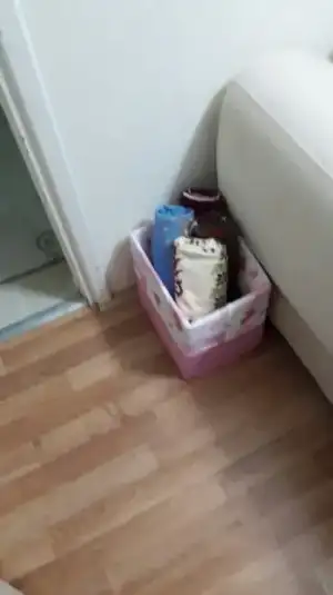 2017-01-31 17.35.03.webp