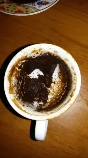 20170223_204928.webp