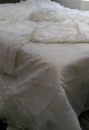 IMAG0746_1.webp