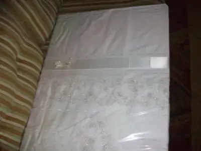 $100_8486.webp
