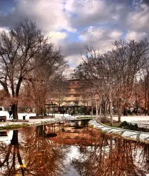 $dnm_hdr2_by_silverpowder.webp