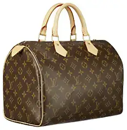 $Louis_Vuitton_Bag.webp