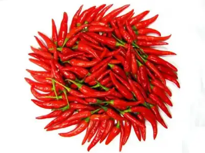 arnavut-biberi.webp