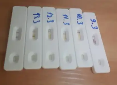 20170313_202333.webp 20170313_202333.webp