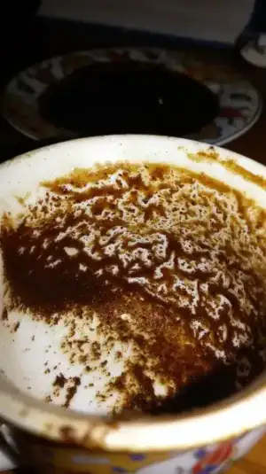 20170316_173300.webp