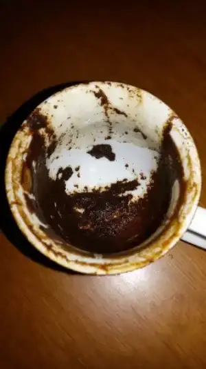 20170317_212427.webp