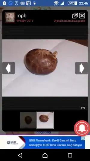 Screenshot_2017-03-06-22-46-30.webp