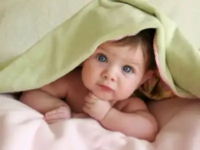 20120202_1555901058.webp