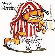 $goog morning.webp
