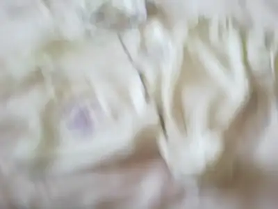 $12122011217.webp