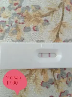 IMG_20170404_181806.webp IMG_20170404_181806.webp