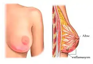 zeyneple güne merhaba.webp