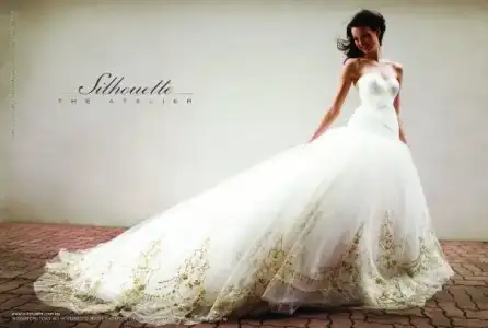 $Silhouettes-wedding-dress-Picture-2.webp