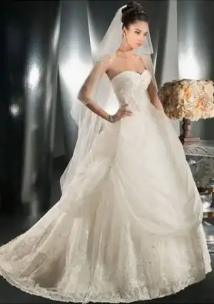 $organza-sweetheart-neckilne-with-ball-gown-style-and-chapel-train-in-lace-up-closuer-hot-sel...webp
