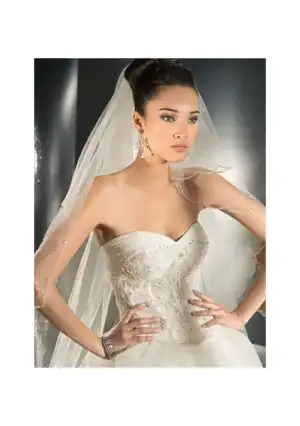 $organza-sweetheart-neckilne-with-ball-gown-style-and-chapel-train-in-lace-up-closuer-hot-sel...webp