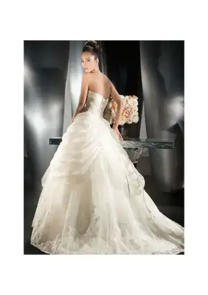 $organza-sweetheart-neckilne-with-ball-gown-style-and-chapel-train-in-lace-up-closuer-hot-sel...webp