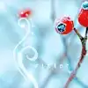 $botanicalstills37_001b.webp