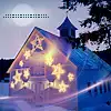 $ruthenia_alba_071225christmas10.webp
