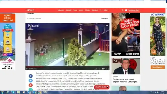 masum yavru  2.webp