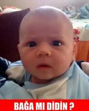 1436308-516x640.webp