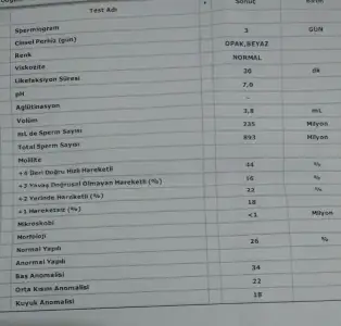 IMG-20170430-WA0006.webp