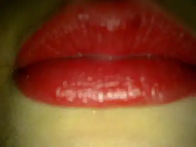 $15122011007.webp