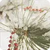 $winter10h2o039.webp