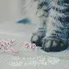 $paws_13.webp
