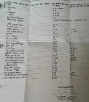 index.webp