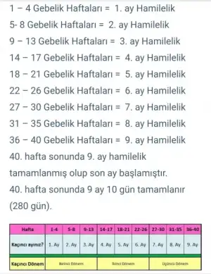 japanese love story wattpad düğün gecesi