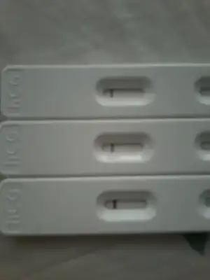 1494993675689-1426734169.webp