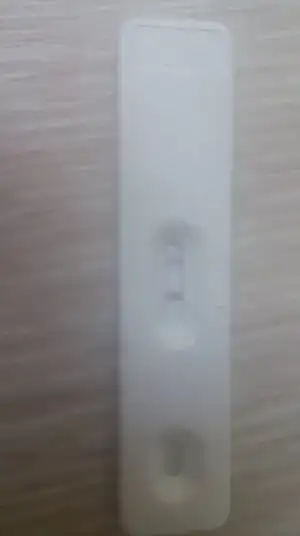 1495361785081.webp