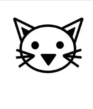 4.webp
