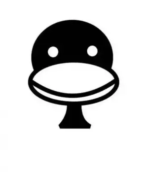 5.webp