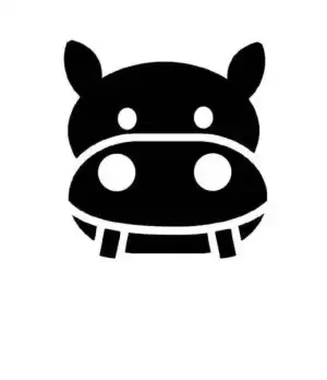 9.webp