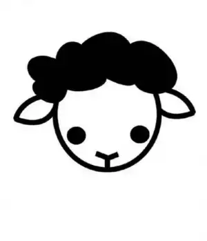 10.webp