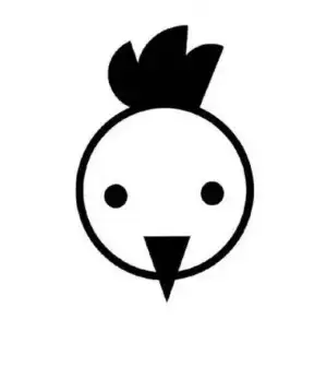 12.webp