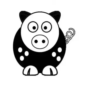 13.webp
