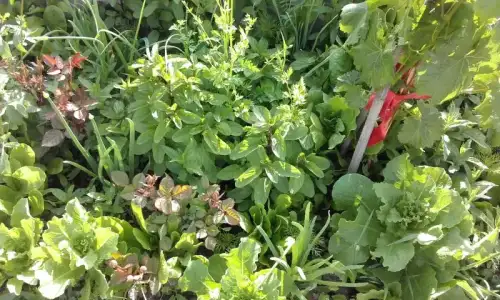20170530_165721.webp