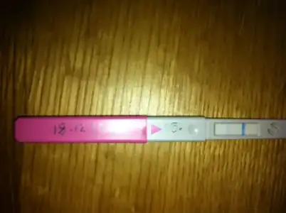 $test 2 gulenyuz.webp $test 2 gulenyuz.webp