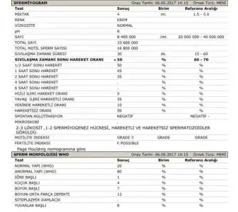 2017-06-07 10.37.31.webp