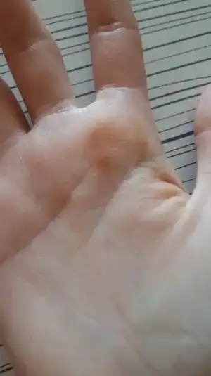 IMG-20170607-WA0014.webp